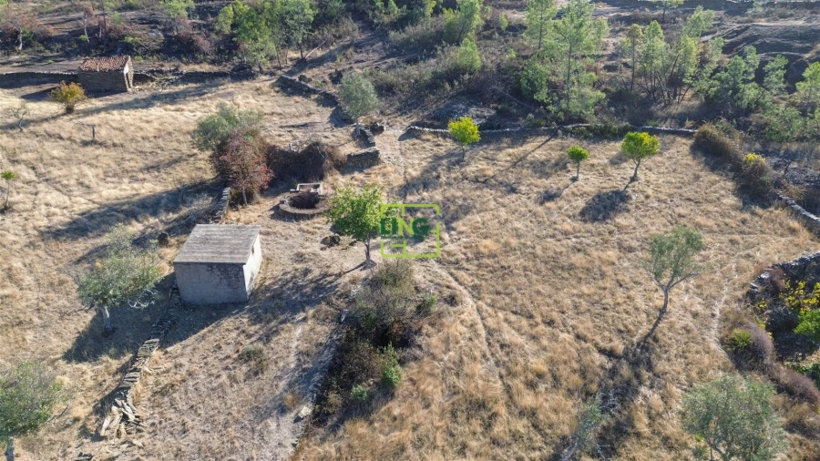 Terreno Agricola ou Rústico para Venda em Cebolais de Cima e Retaxo Foto 21