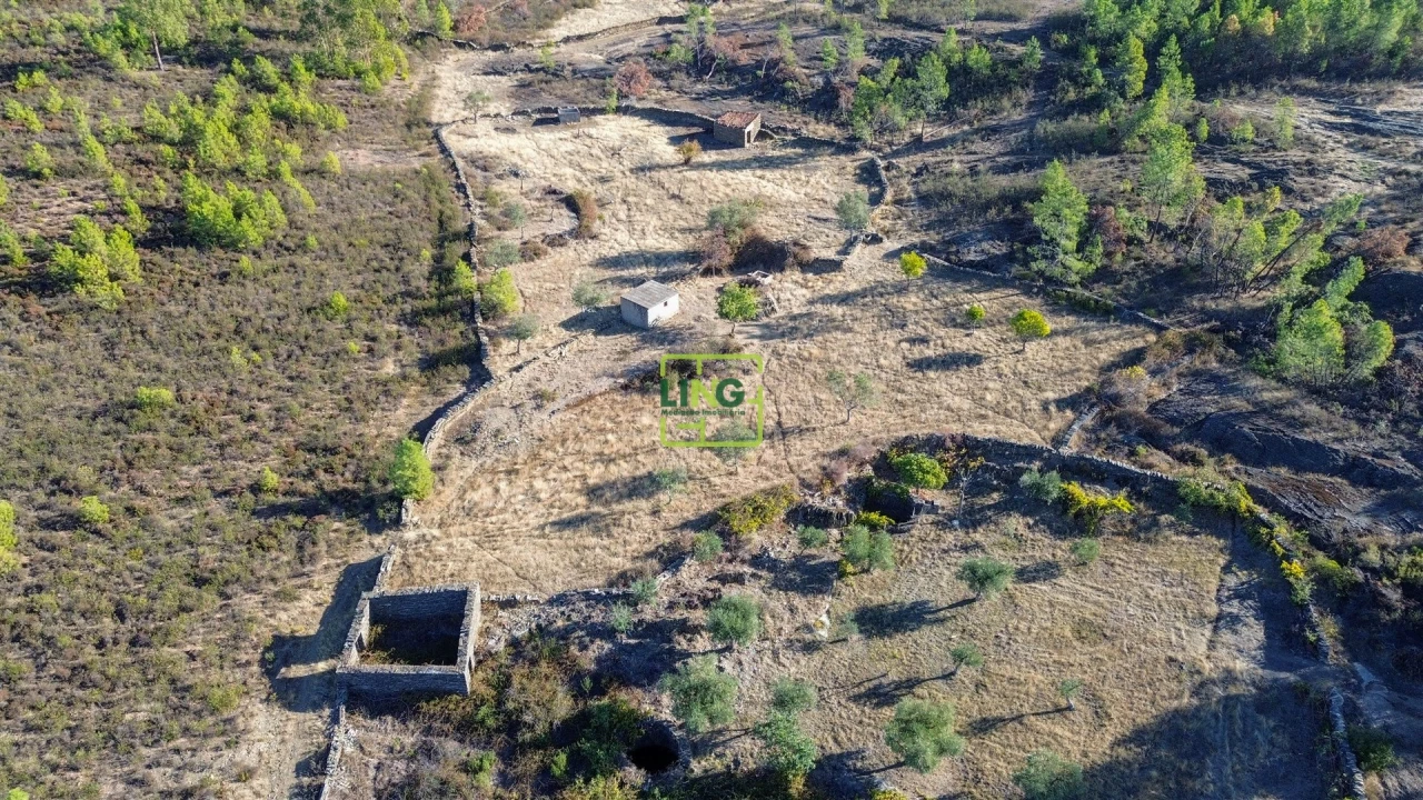Terreno Agricola ou Rústico para Venda em Cebolais de Cima e Retaxo Foto 1