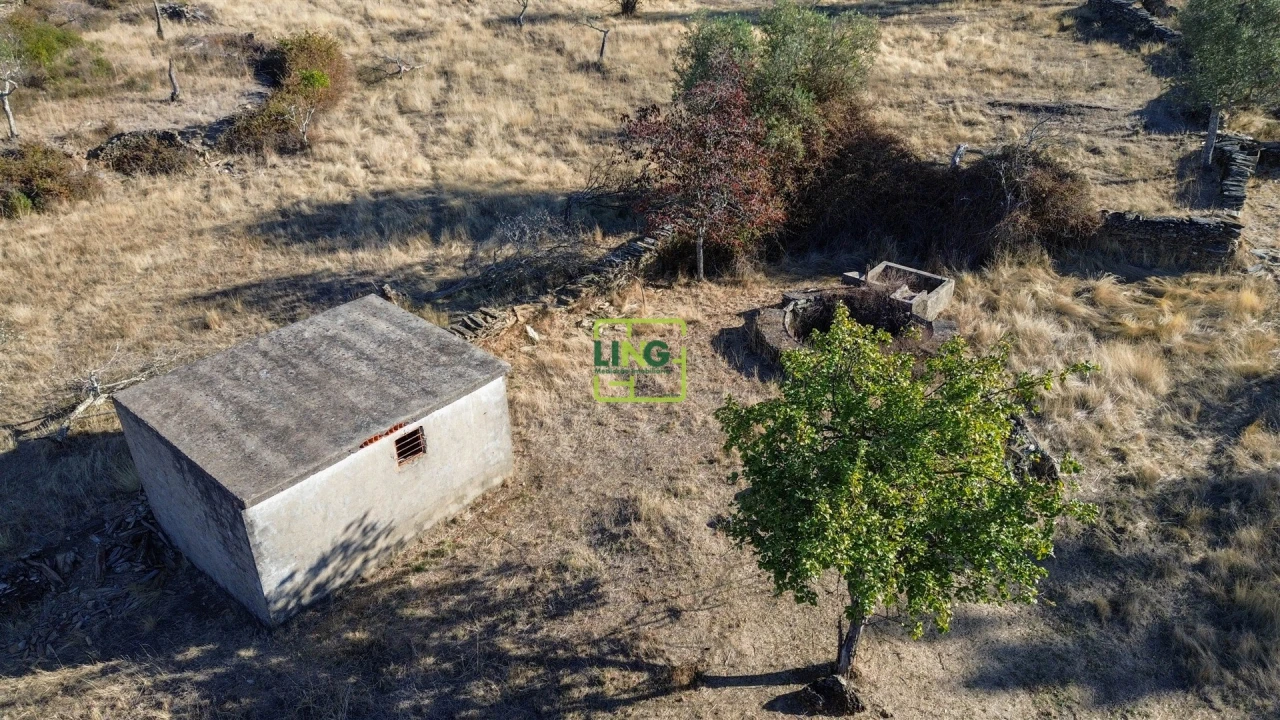 Terreno Agricola ou Rústico para Venda em Cebolais de Cima e Retaxo Foto 10