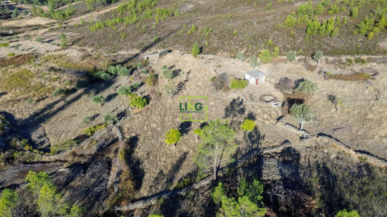 Terreno Agricola ou Rústico para Venda em Cebolais de Cima e Retaxo Foto 30