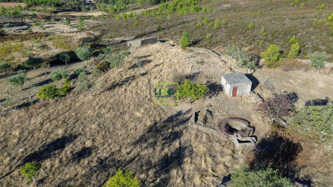 Terreno Agricola ou Rústico para Venda em Cebolais de Cima e Retaxo Foto 22