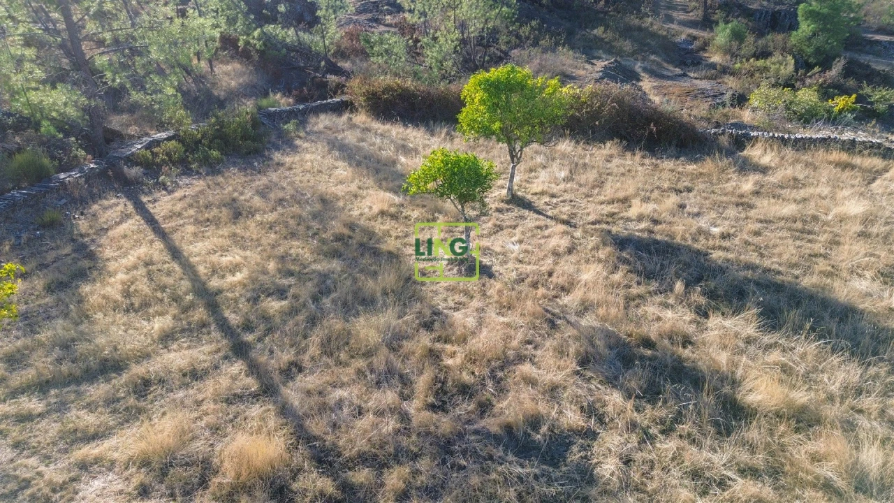 Terreno Agricola ou Rústico para Venda em Cebolais de Cima e Retaxo Foto 9