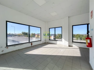 Loja para Arrendamento em Castelo Branco