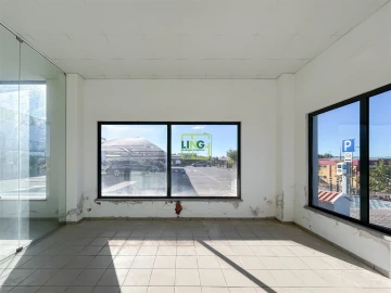 Loja para Arrendamento em Castelo Branco