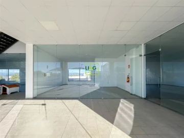 Loja para Arrendamento em Castelo Branco