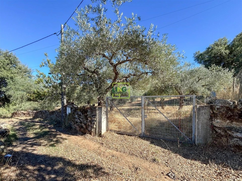 Terreno Agricola ou Rústico para Venda em Aranhas Foto 61
