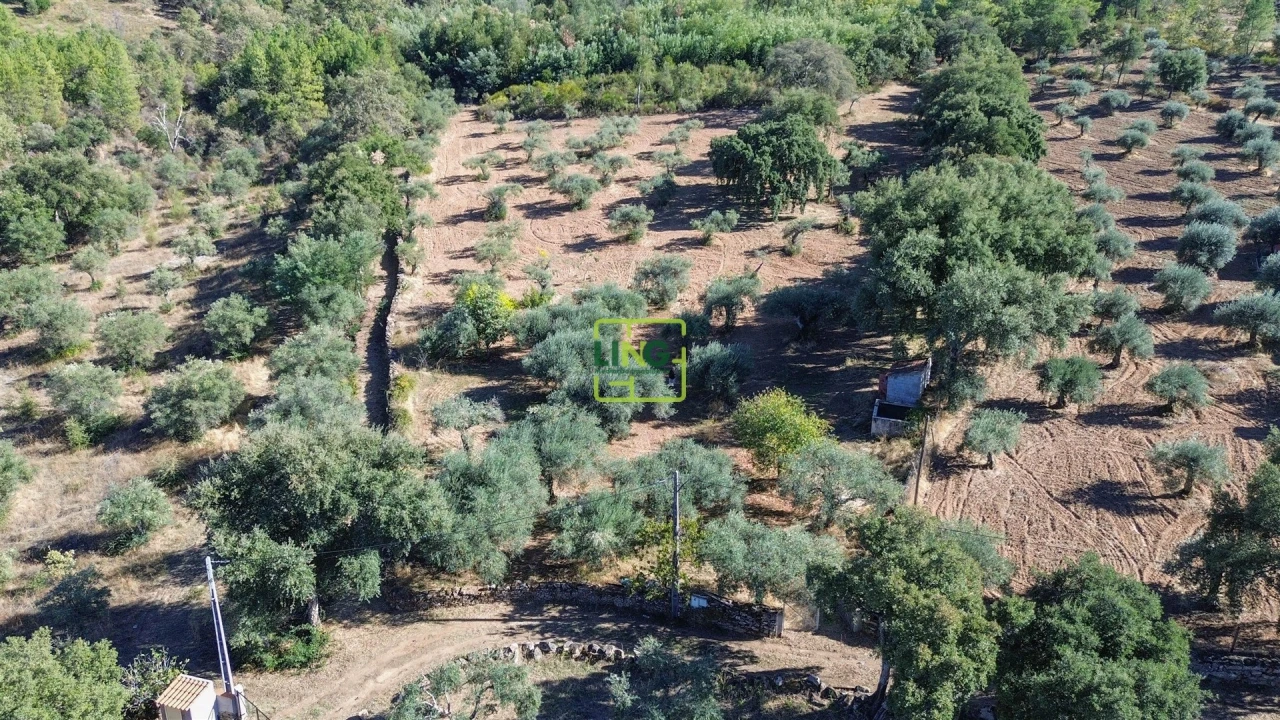 Terreno Agricola ou Rústico para Venda em Aranhas Foto 39