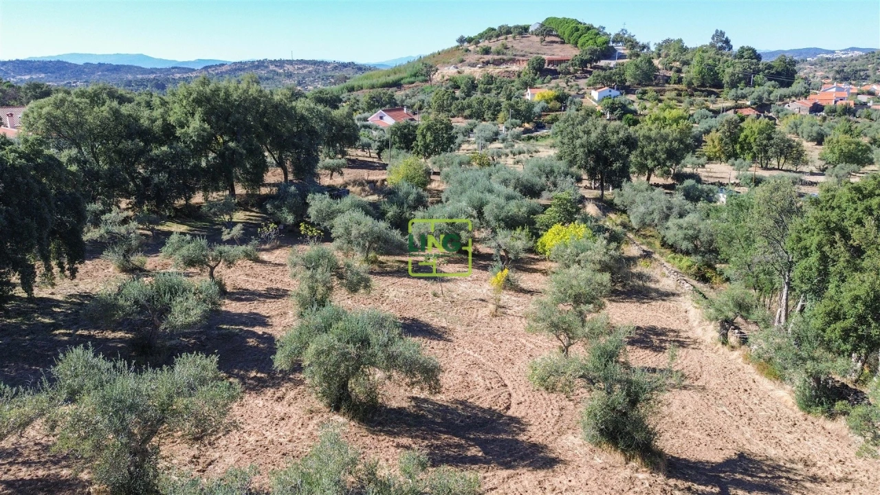 Terreno Agricola ou Rústico para Venda em Aranhas Foto 32