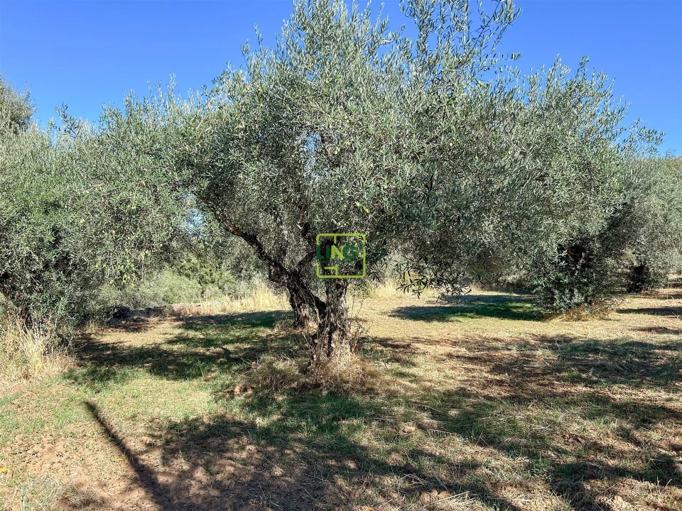 Terreno Agricola ou Rústico para Venda em Aranhas Foto 58