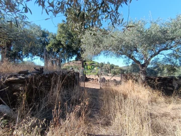 Terreno Agricola ou Rústico para Venda em Aranhas