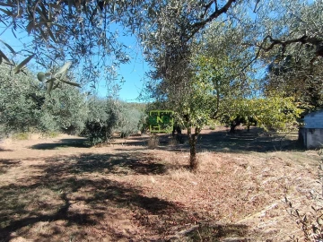 Terreno Agricola ou Rústico para Venda em Aranhas