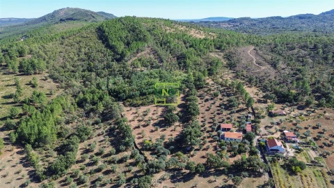 Terreno Agricola ou Rústico para Venda em Aranhas