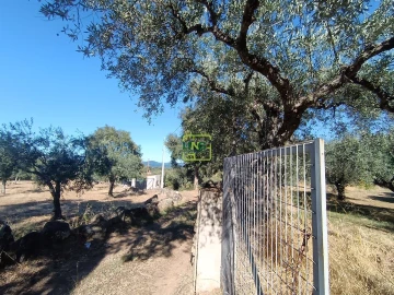 Terreno Agricola ou Rústico para Venda em Aranhas