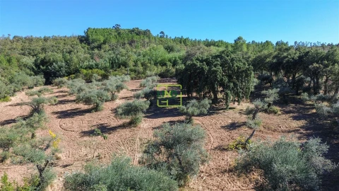Terreno Agricola ou Rústico para Venda em Aranhas