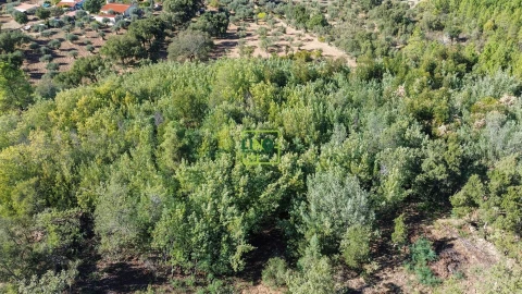 Terreno Agricola ou Rústico para Venda em Aranhas