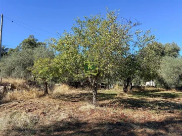 Terreno Agricola ou Rústico para Venda em Aranhas