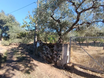 Terreno Agricola ou Rústico para Venda em Aranhas