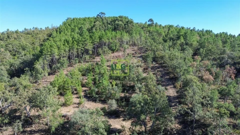 Terreno Agricola ou Rústico para Venda em Aranhas