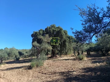 Terreno Agricola ou Rústico para Venda em Aranhas