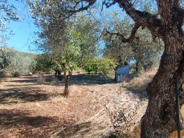 Terreno Agricola ou Rústico para Venda em Aranhas