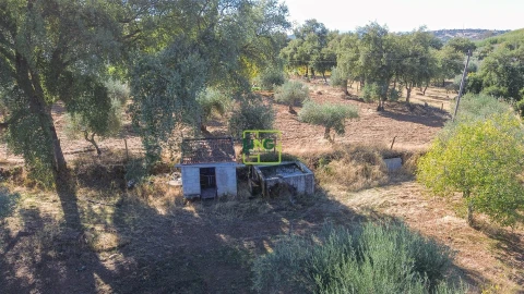Terreno Agricola ou Rústico para Venda em Aranhas