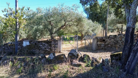 Terreno Agricola ou Rústico para Venda em Aranhas