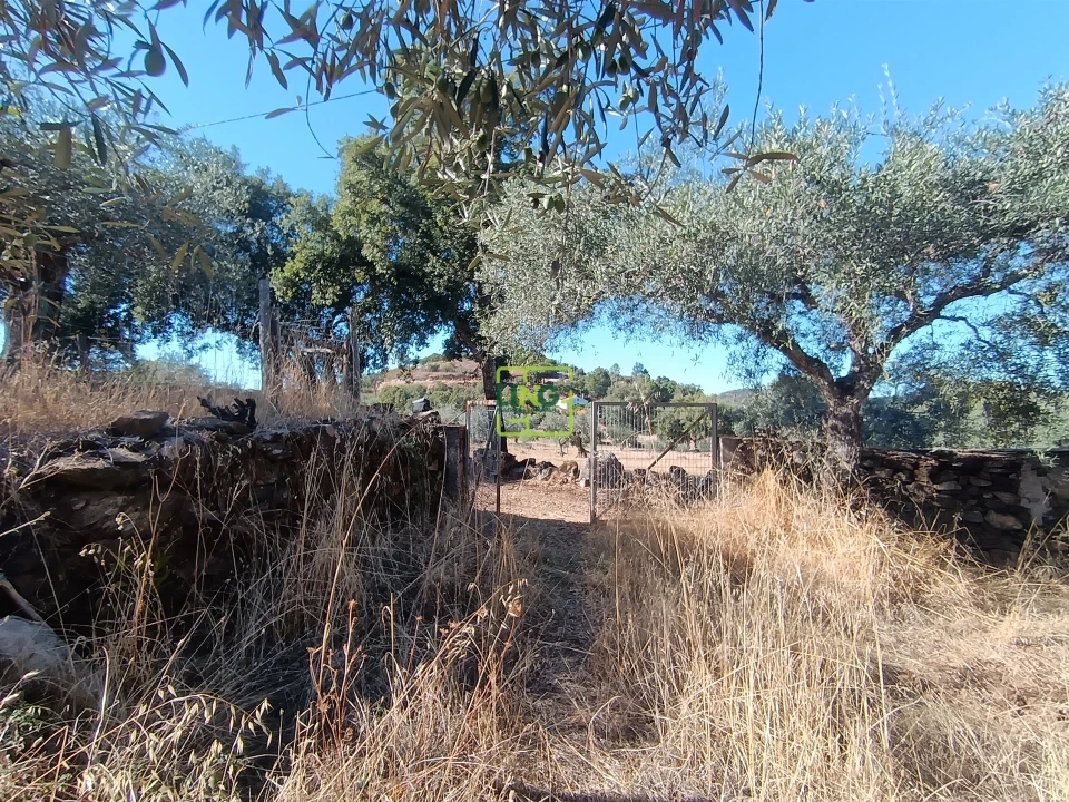 Terreno Agricola ou Rústico para Venda em Aranhas Foto 10