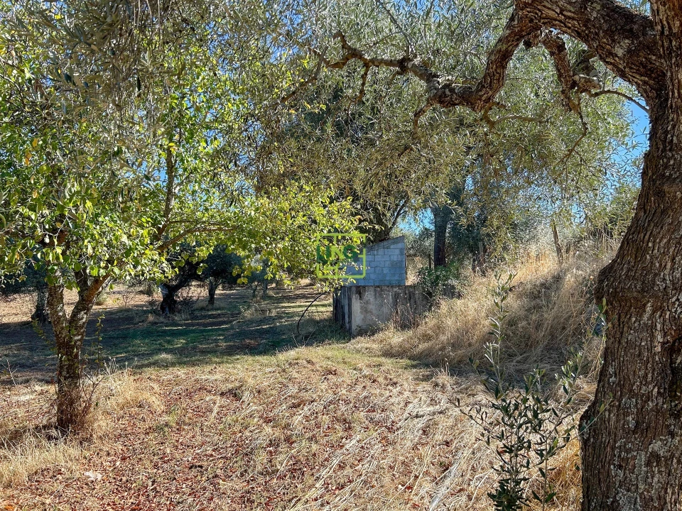 Terreno Agricola ou Rústico para Venda em Aranhas Foto 60