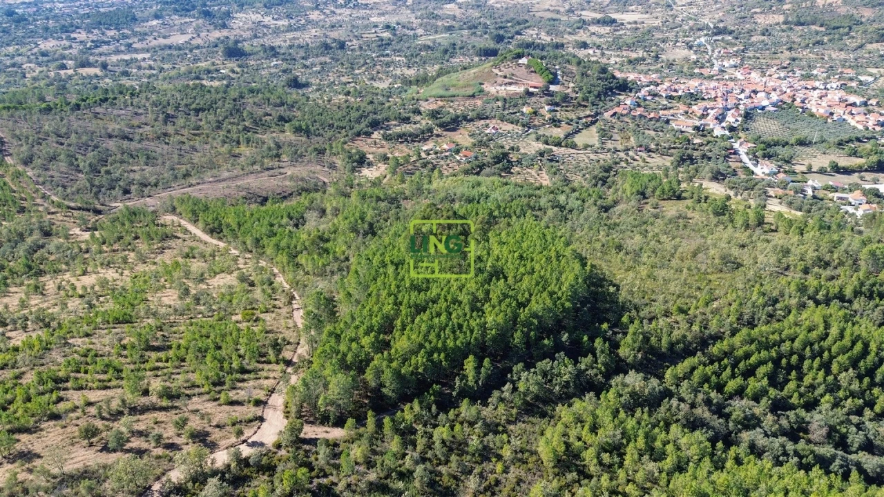 Terreno Agricola ou Rústico para Venda em Aranhas Foto 38