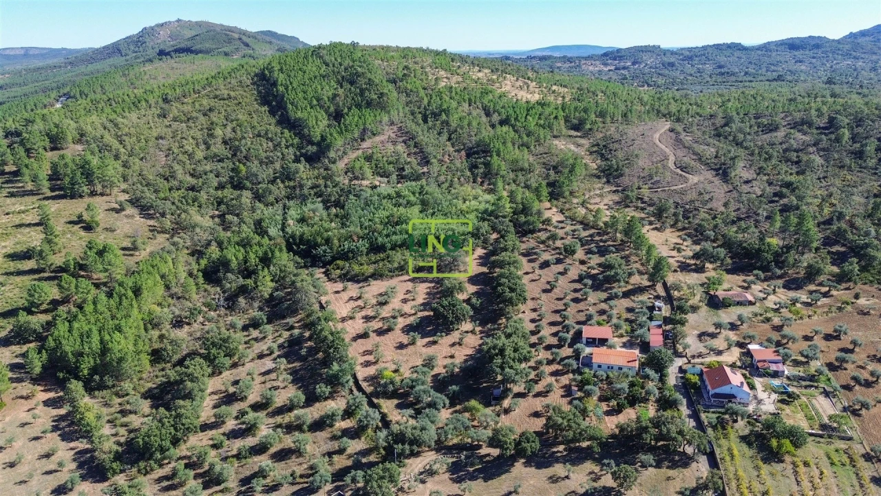 Terreno Agricola ou Rústico para Venda em Aranhas Foto 29