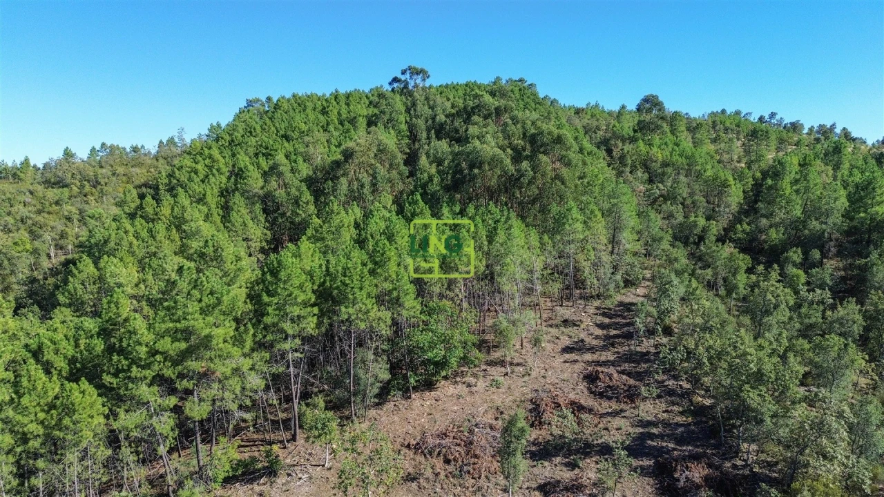 Terreno Agricola ou Rústico para Venda em Aranhas Foto 46
