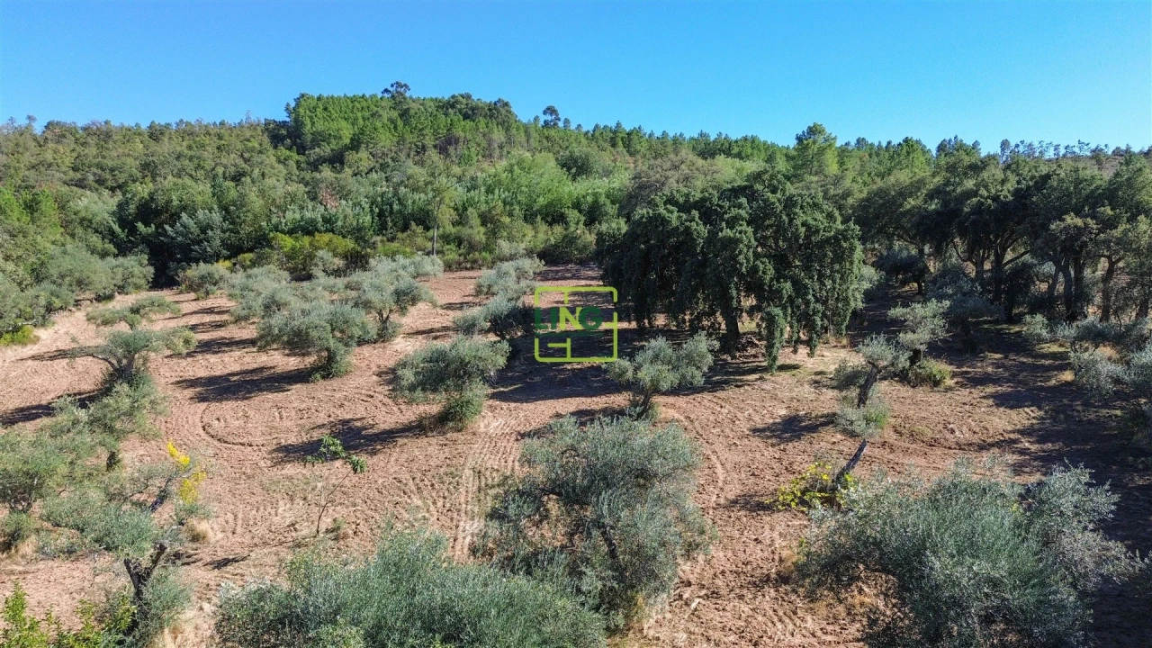 Terreno Agricola ou Rústico para Venda em Aranhas Foto 35
