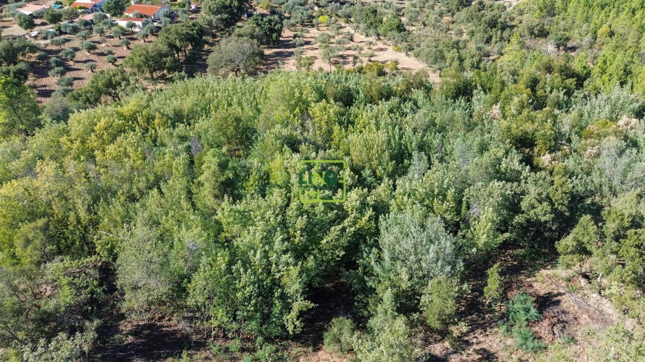 Terreno Agricola ou Rústico para Venda em Aranhas Foto 47