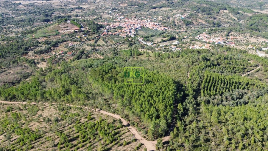 Terreno Agricola ou Rústico para Venda em Aranhas Foto 36
