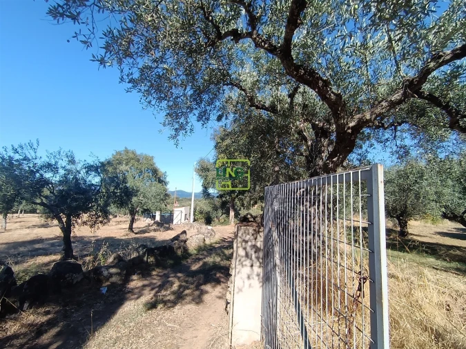 Terreno Agricola ou Rústico para Venda em Aranhas Foto 24