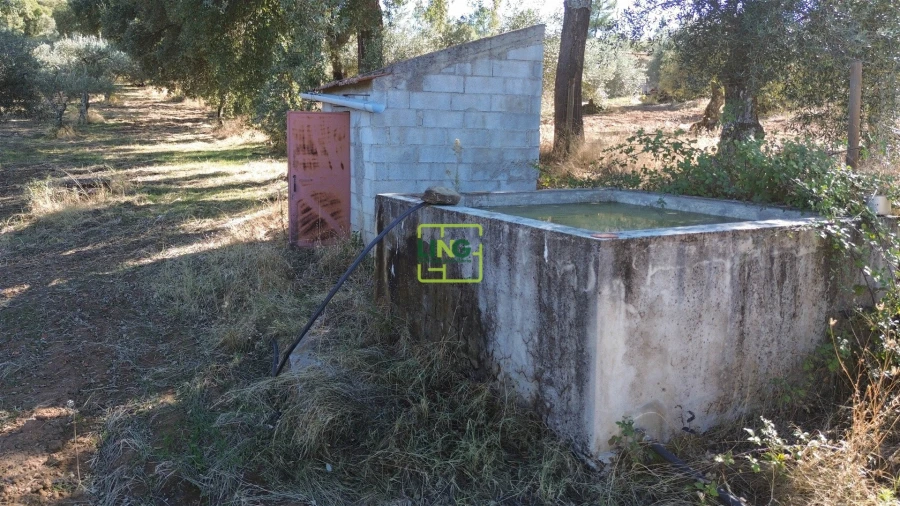 Terreno Agricola ou Rústico para Venda em Aranhas Foto 40