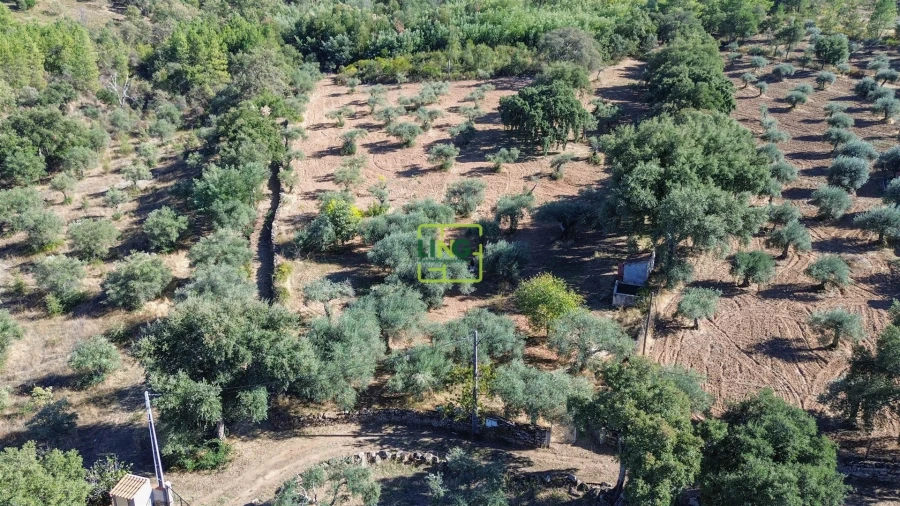 Terreno Agricola ou Rústico para Venda em Aranhas Foto 39