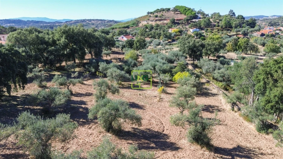 Terreno Agricola ou Rústico para Venda em Aranhas Foto 32