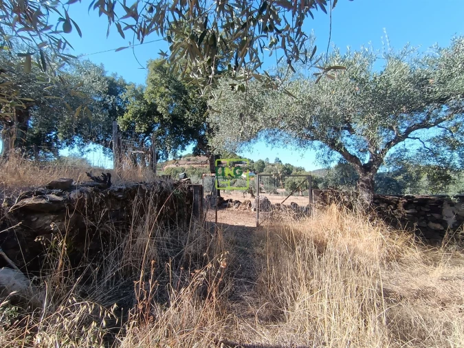 Terreno Agricola ou Rústico para Venda em Aranhas Foto 22