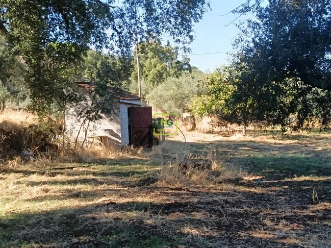 Terreno Agricola ou Rústico para Venda em Aranhas Foto 5