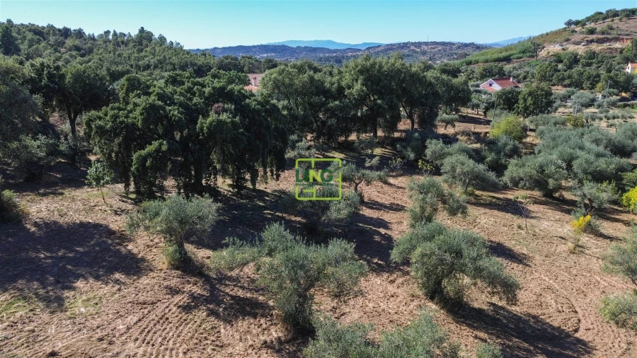 Terreno Agricola ou Rústico para Venda em Aranhas Foto 31