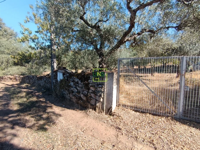 Terreno Agricola ou Rústico para Venda em Aranhas Foto 27