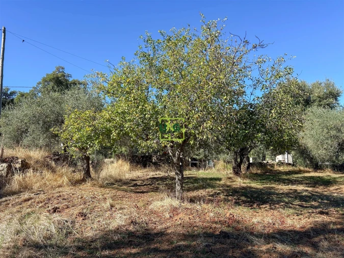 Terreno Agricola ou Rústico para Venda em Aranhas Foto 56