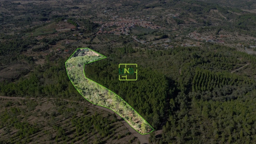 Terreno Agricola ou Rústico para Venda em Aranhas Foto 37
