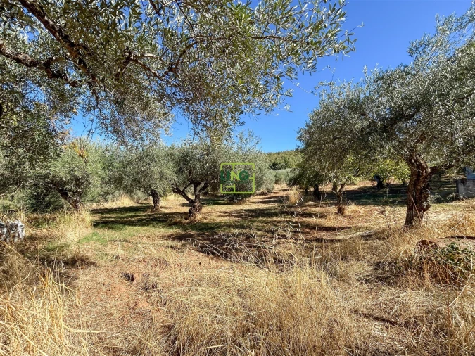 Terreno Agricola ou Rústico para Venda em Aranhas Foto 52