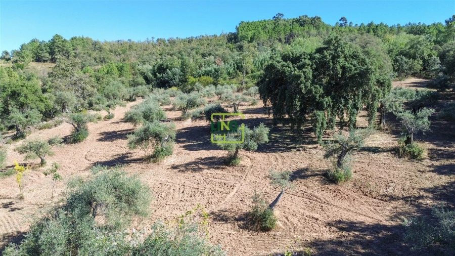 Terreno Agricola ou Rústico para Venda em Aranhas Foto 41