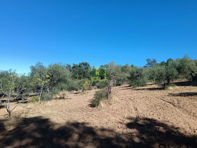 Terreno Agricola ou Rústico para Venda em Aranhas Foto 4