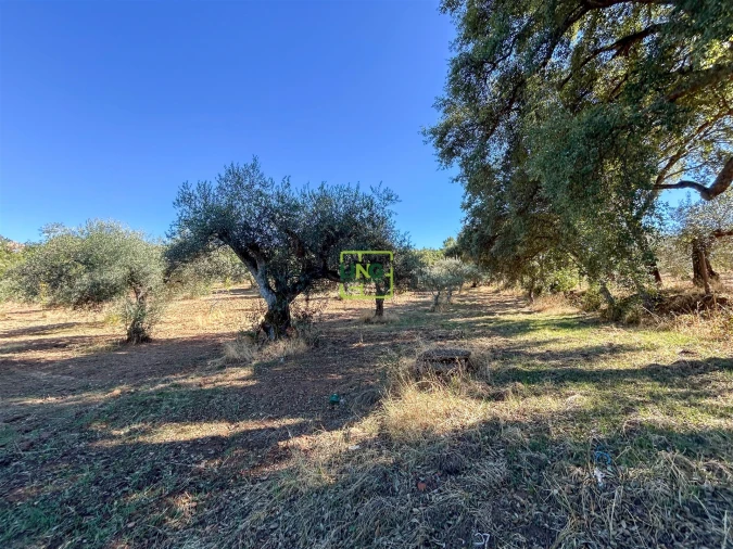 Terreno Agricola ou Rústico para Venda em Aranhas Foto 53