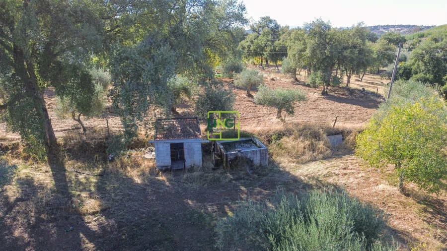 Terreno Agricola ou Rústico para Venda em Aranhas Foto 33