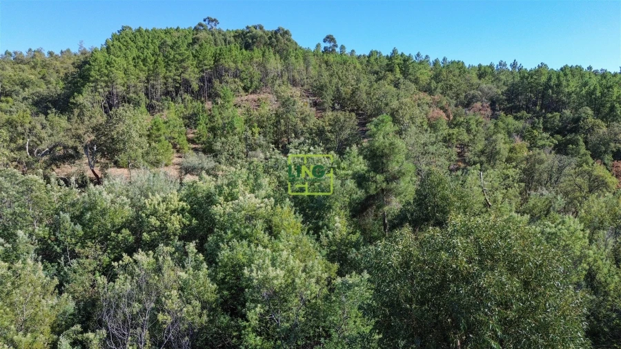Terreno Agricola ou Rústico para Venda em Aranhas Foto 44
